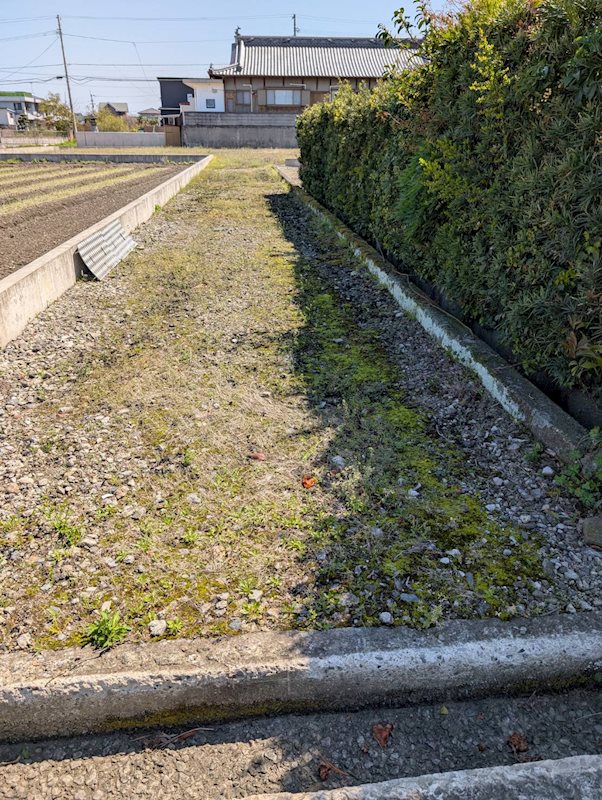 土居町津根　土地 外観写真