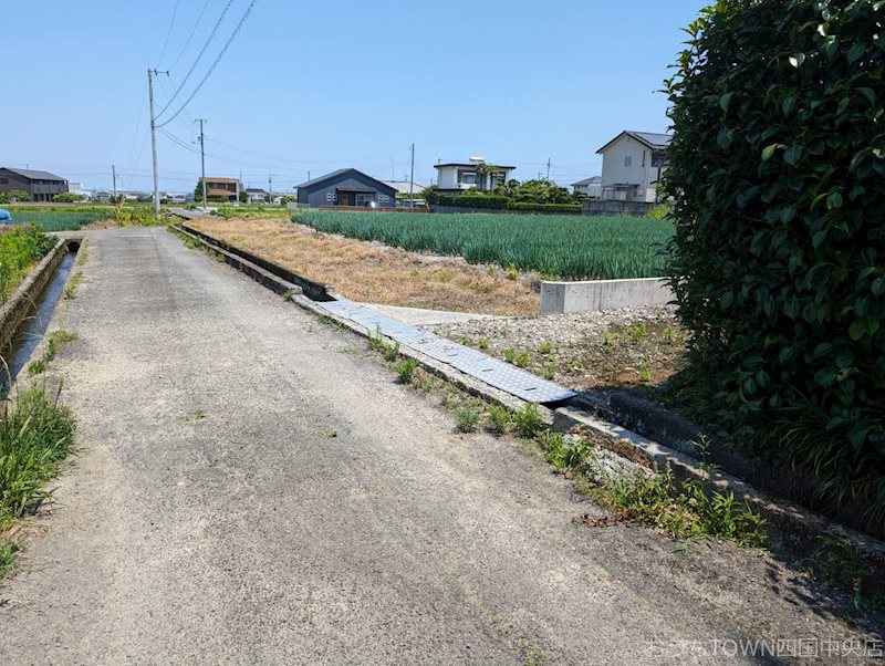 土居町津根　土地 その他