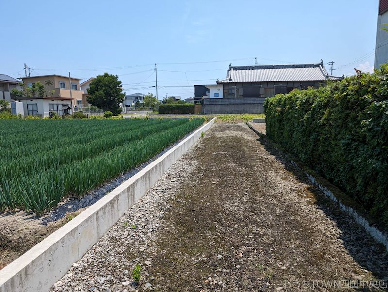 土居町津根　土地 その他