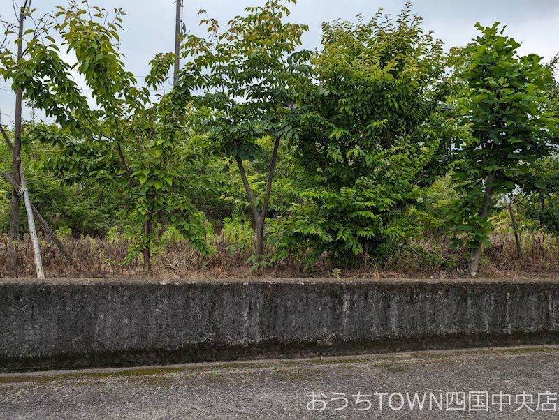 妻鳥町中上 2区画分譲地 四国中央市妻鳥町 土地 700万円 愛媛県の賃貸情報は おうちtownへ