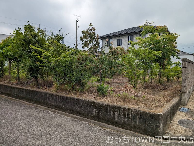 妻鳥町中上　2区画分譲地① その他