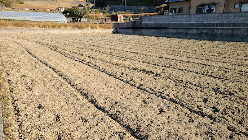 山路　土地 その他