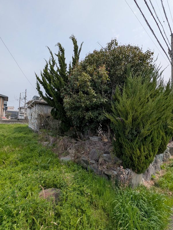 妻鳥町綿市　土地 その他