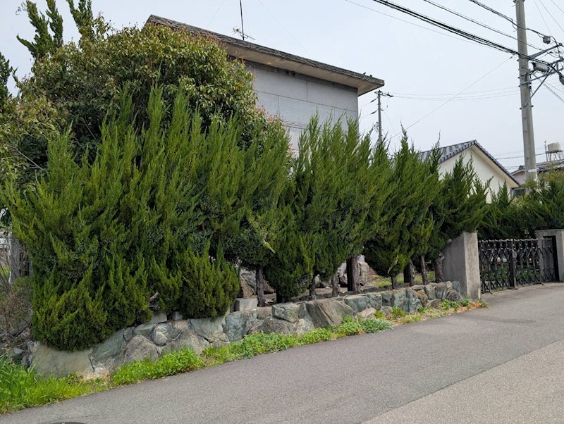 妻鳥町綿市　土地 その他