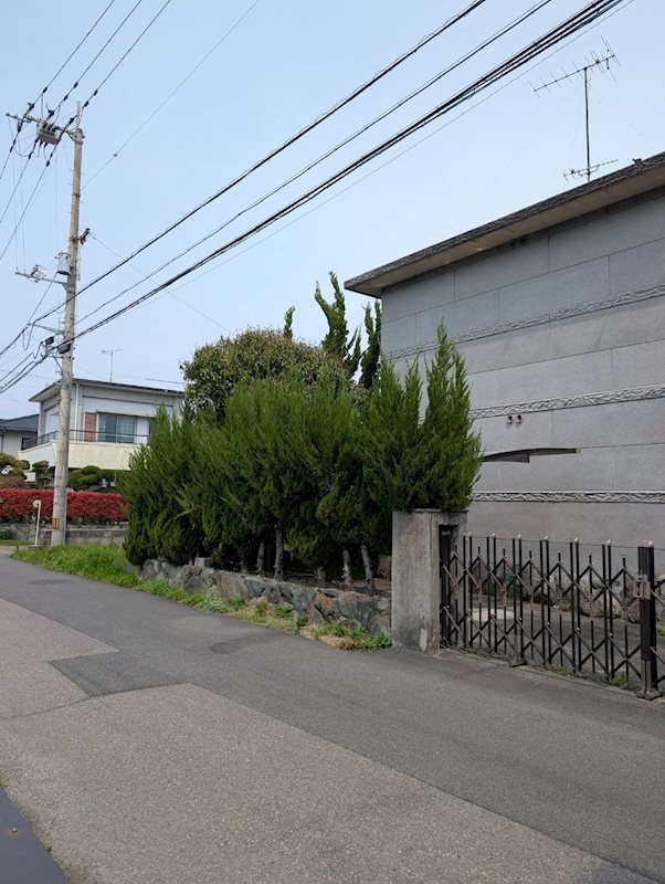 妻鳥町綿市　土地 その他