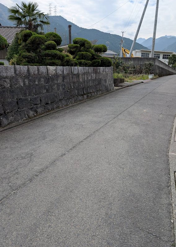 土居町上野　土地 その他
