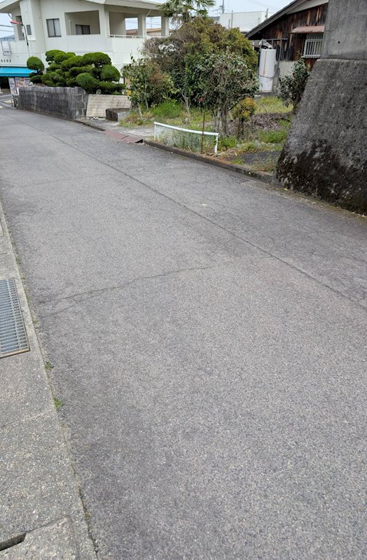 土居町上野　土地 その他