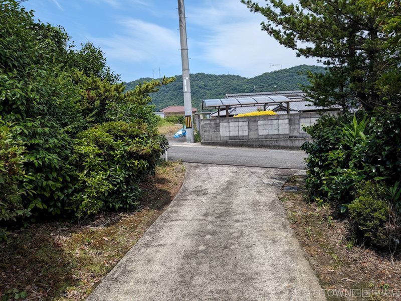 土居町上野　土地 その他