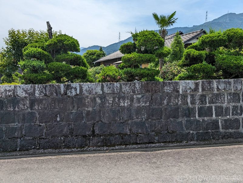 土居町上野　土地 その他