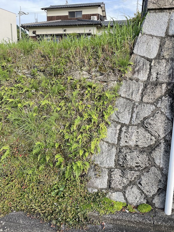 住宅地の高台にある海が臨める　光洋台　土地 その他