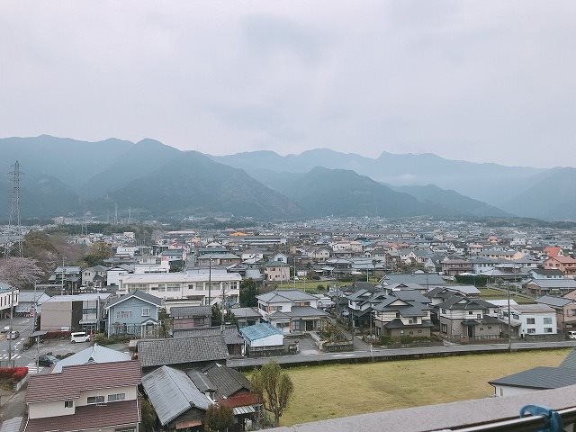 &#12521;&#12501;&#12451;&#12540;&#12493;&#20013;&#33833;&#24336;&#30058;&#39208; 802&#21495;&#23460; &#12381;&#12398;&#20182;