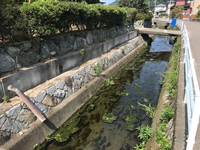 新居浜市垣生 その他