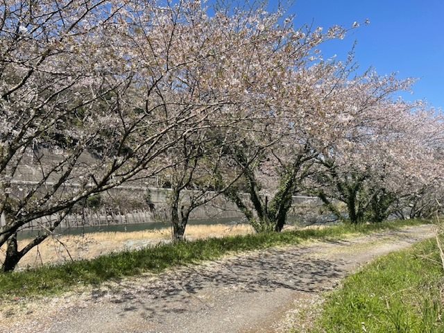 西条市中野 その他