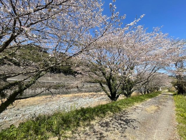 西条市中野 その他