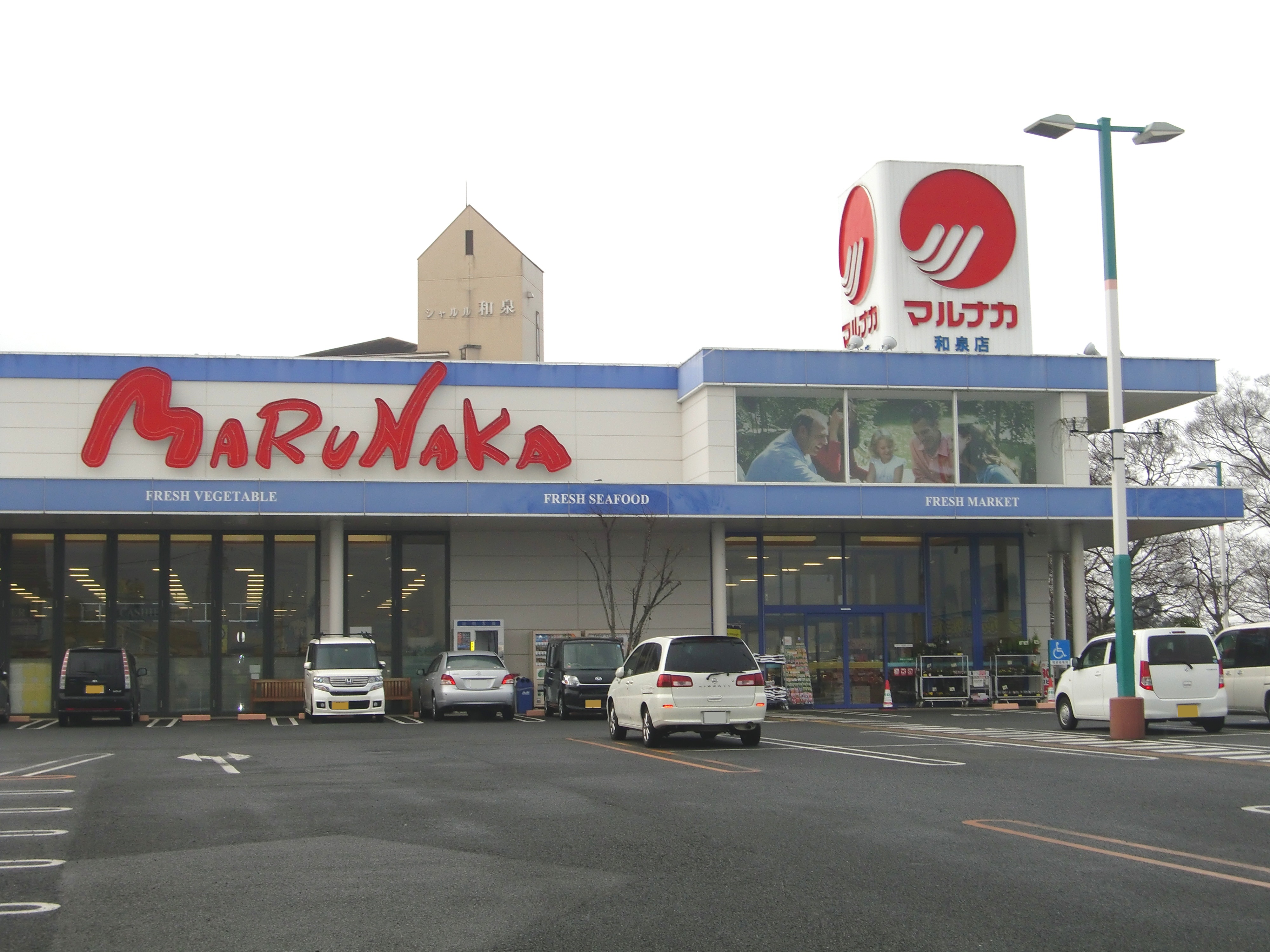 松山市和泉南4丁目　戸建 周辺画像3