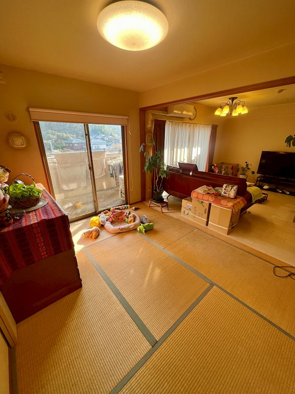 アルファスマート星越 606号室 その他