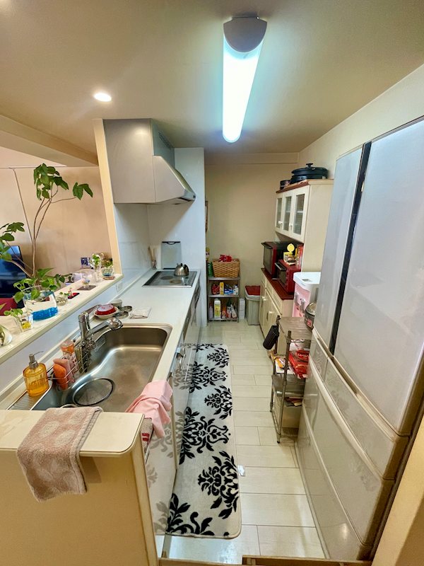 アルファスマート星越 606号室 その他