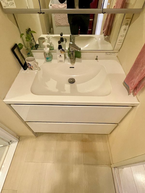 アルファスマート星越 606号室 その他