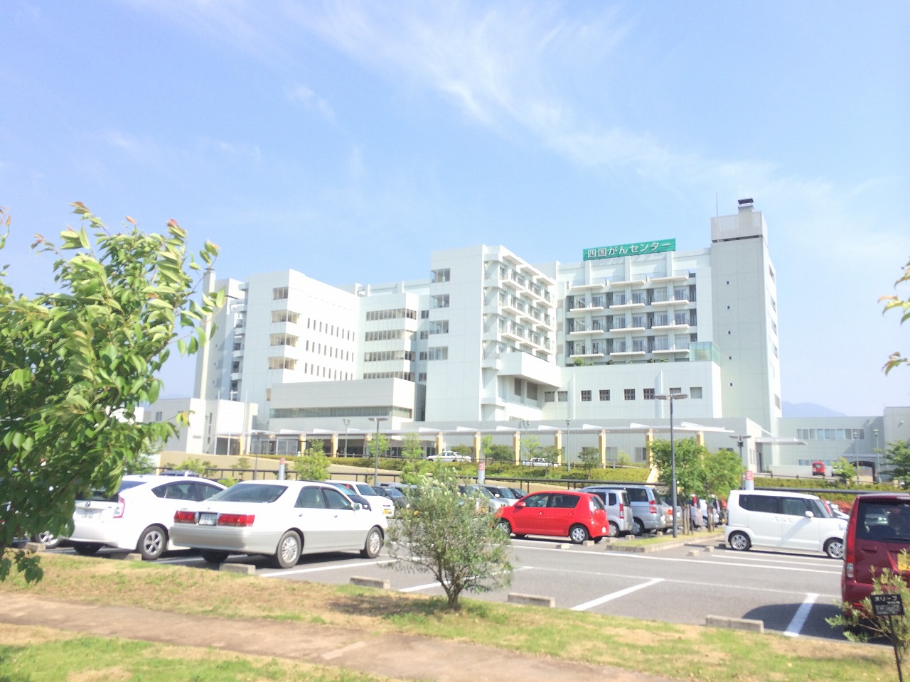 松山市南梅本町　①号地  周辺画像1