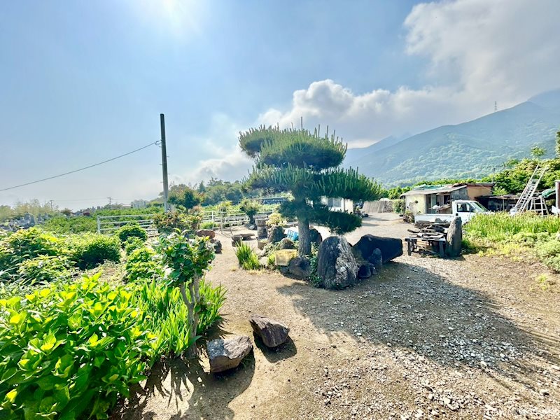 土居町津根　土地 その他