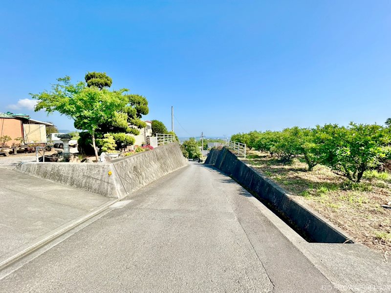 土居町津根　土地 その他