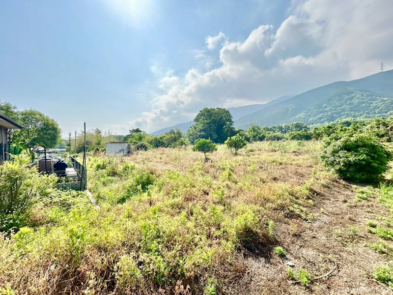 土居町津根　土地 外観写真
