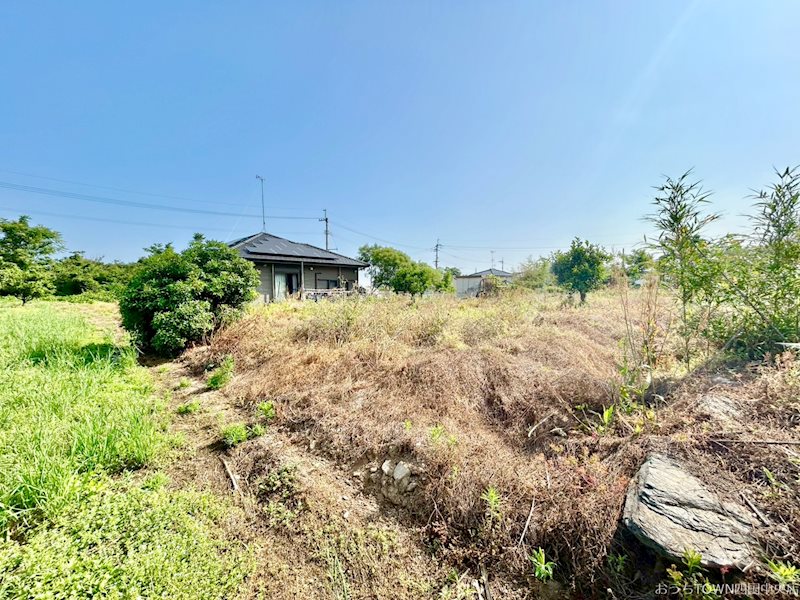 土居町津根　土地 その他