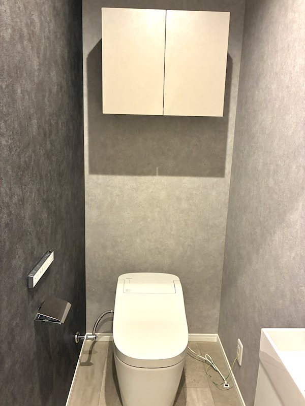 イトーピア根津 内観写真（トイレ）