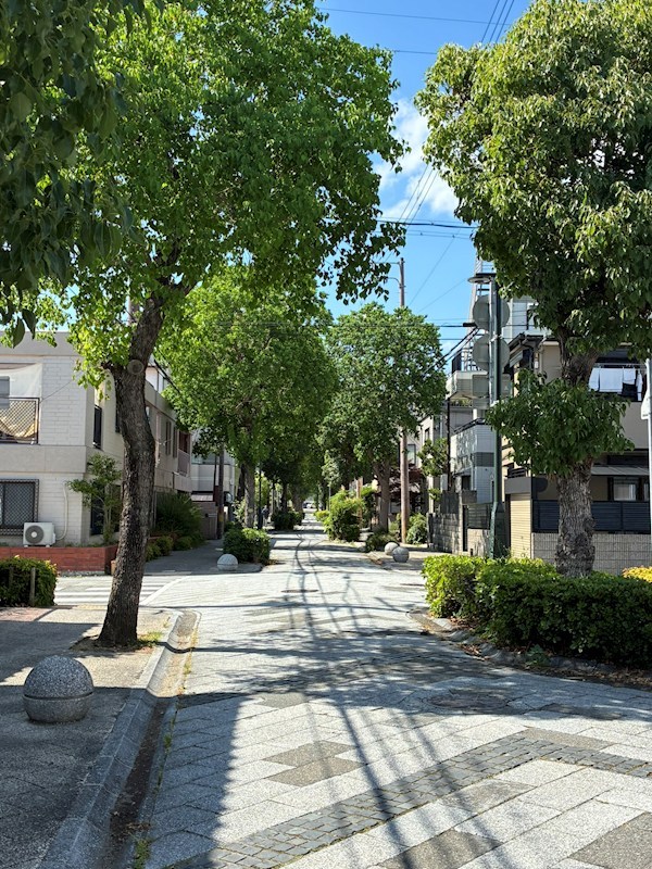 ファミール芦屋 現地写真（その他）