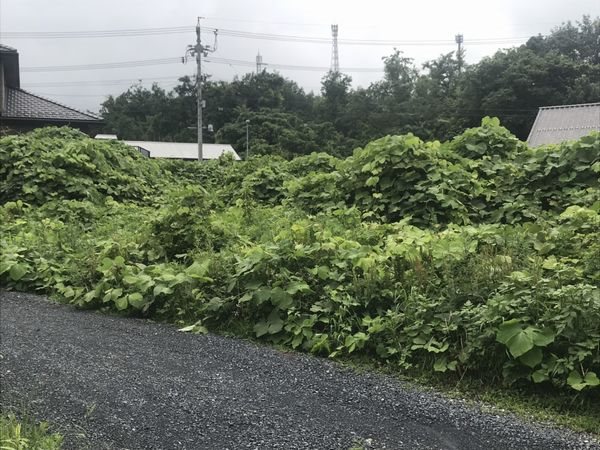 岐阜県多治見市笠原町 現地写真（その他）