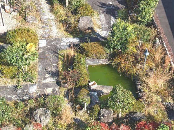 岐阜県多治見市笠原町 現地写真（庭）