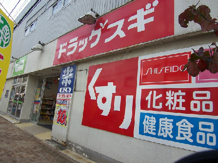 小谷場土地 ドラッグストア