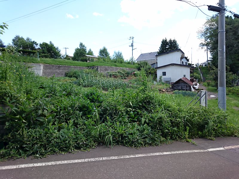 東陵町１８３番　土地 現地写真