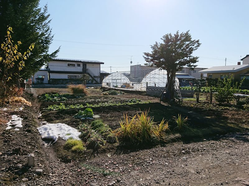 訓子府町西幸町１１３番　土地 その他
