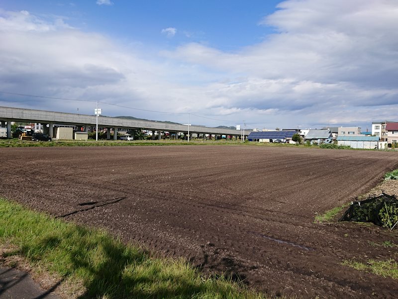 小泉２１３番　土地 現地写真