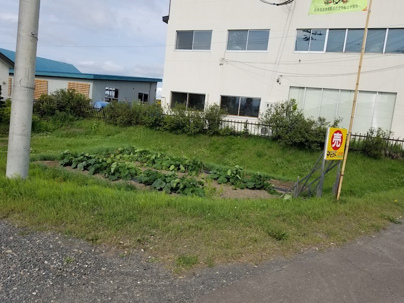 西三輪４丁目７２３番　土地 現地写真