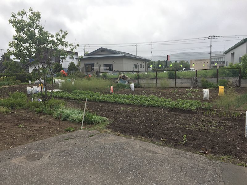 端野町二区４５１番　土地 現地写真