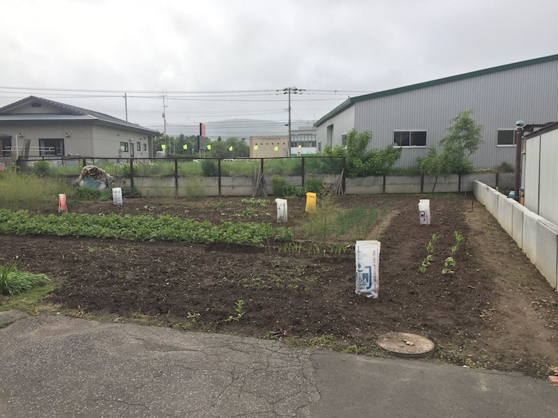 端野町二区４５１番　土地 現地写真