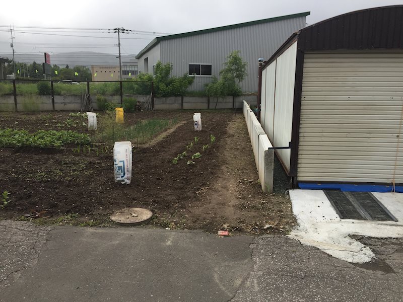 端野町二区４５１番　土地 現地写真