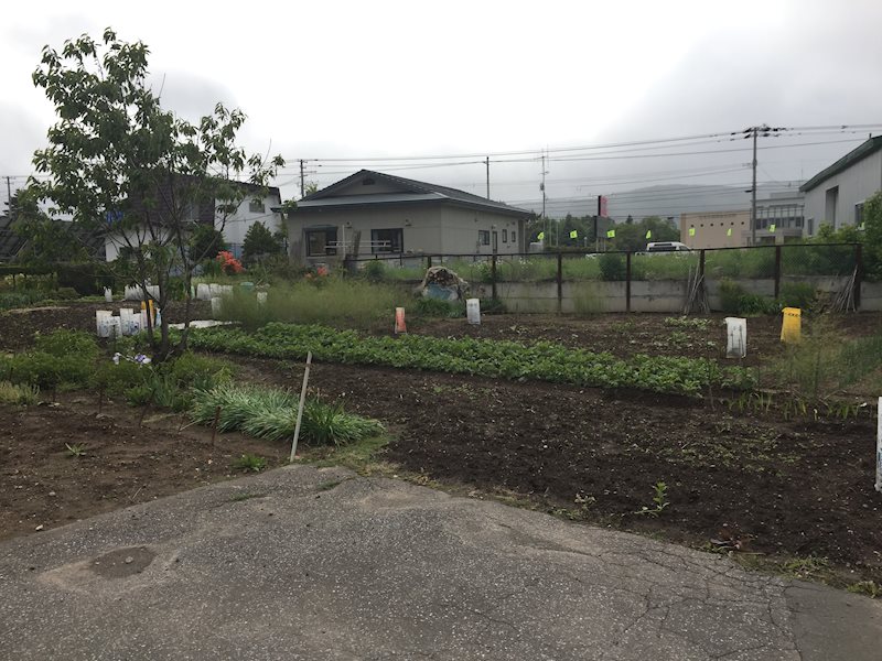 端野町二区４５１番　土地 現地写真