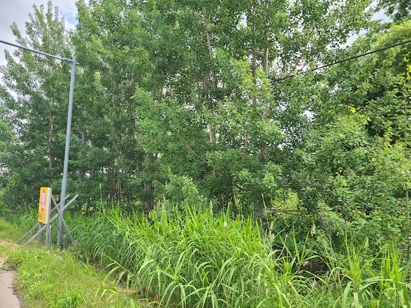 豊田８６４番　土地 現地写真