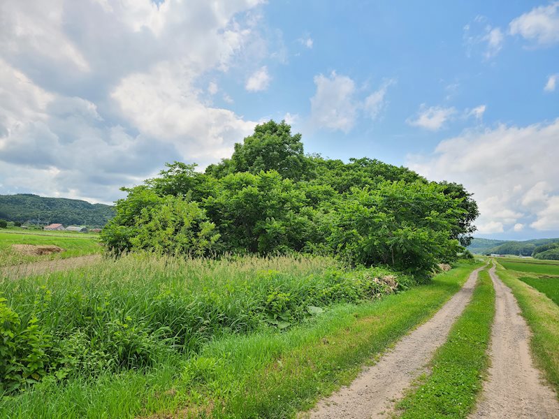 豊田８６４番　土地 現地写真（前面道路含む現地写真）
