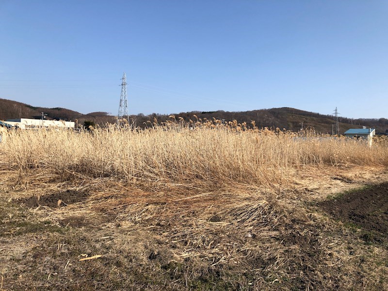 北上２５番　土地 現地写真
