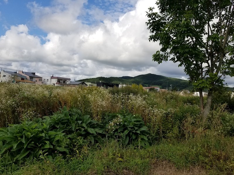 佐呂間町字宮前町１４９番　土地 現地写真