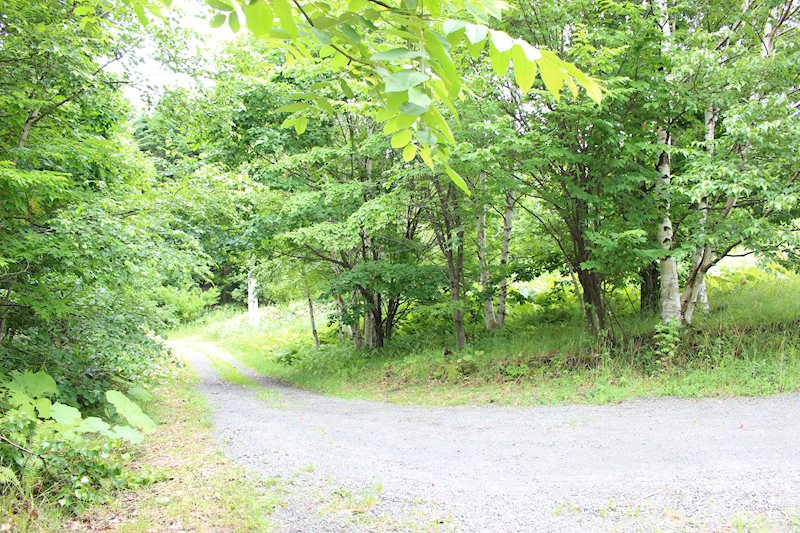 網走市字呼人１２３番１０　土地 現地写真（前面道路含む現地写真）