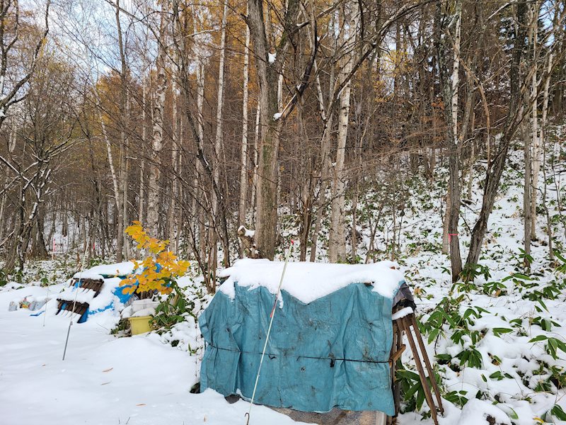 網走市呼人62番45 土地 現地写真
