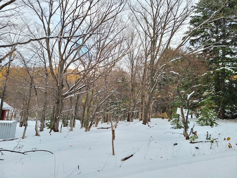 網走市呼人62番40 土地 現地写真