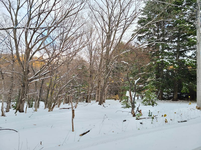 網走市呼人６２番４０　土地 現地写真