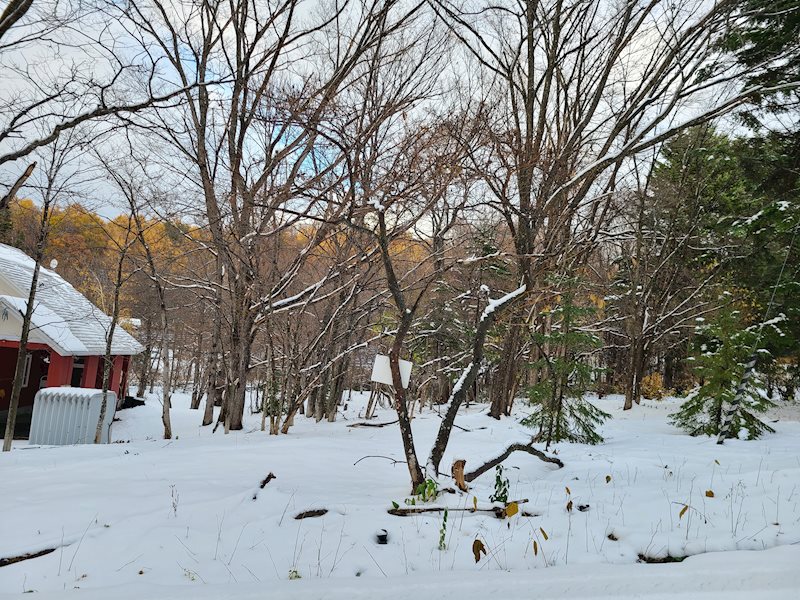 網走市呼人６２番４０　土地 現地写真