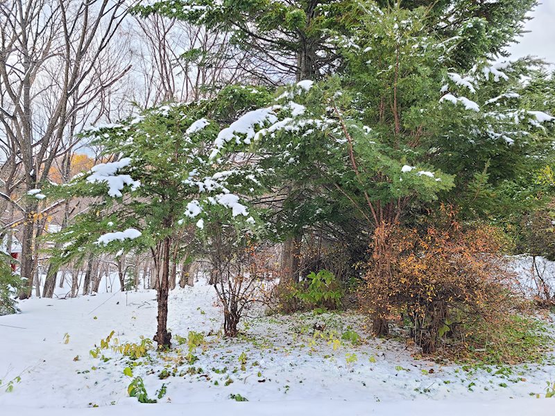網走市呼人６２番４０　土地 現地写真